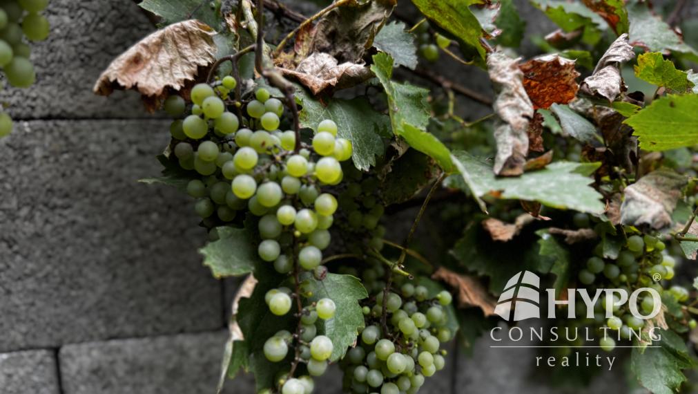 3.izb byt novostavba, parkovanie, 120m2 záhradka - Rovinka