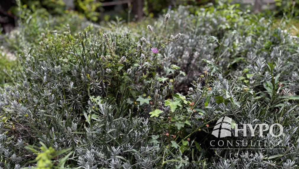 3.izb byt novostavba, parkovanie, 120m2 záhradka - Rovinka