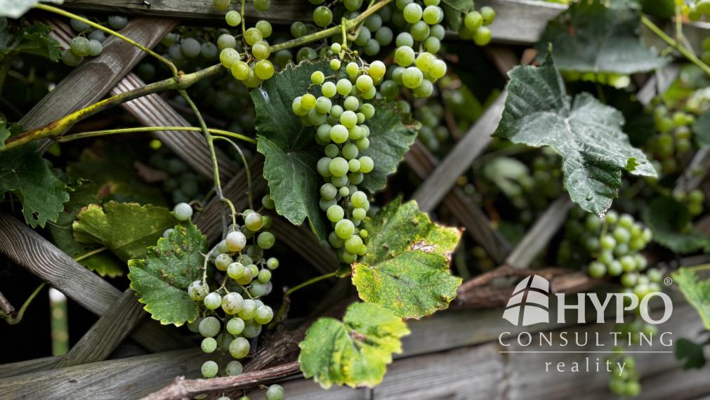 3.izb byt novostavba, parkovanie, 120m2 záhradka - Rovinka