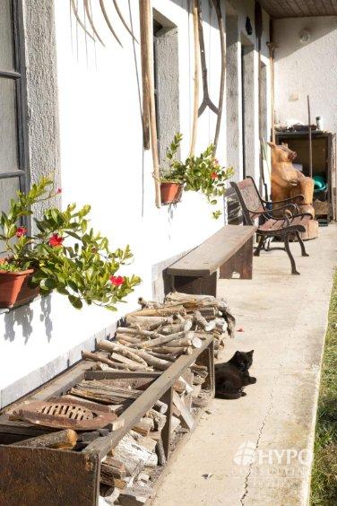 Ranč s agroturistickým ubytovaním v malebnej dedinke Čechy