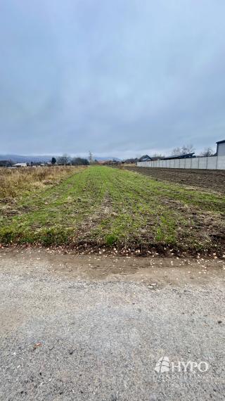 Dom a pozemok 2421m2 Investičná ponuka 95€/m2 pri Malackách