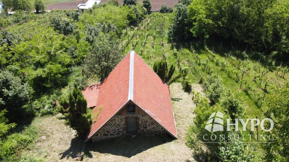 Vínny domček – oáza pokoja pod lesom s výhľadom