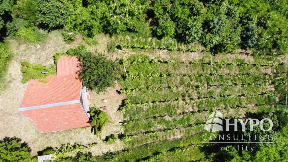 Vínny domček – oáza pokoja pod lesom s výhľadom