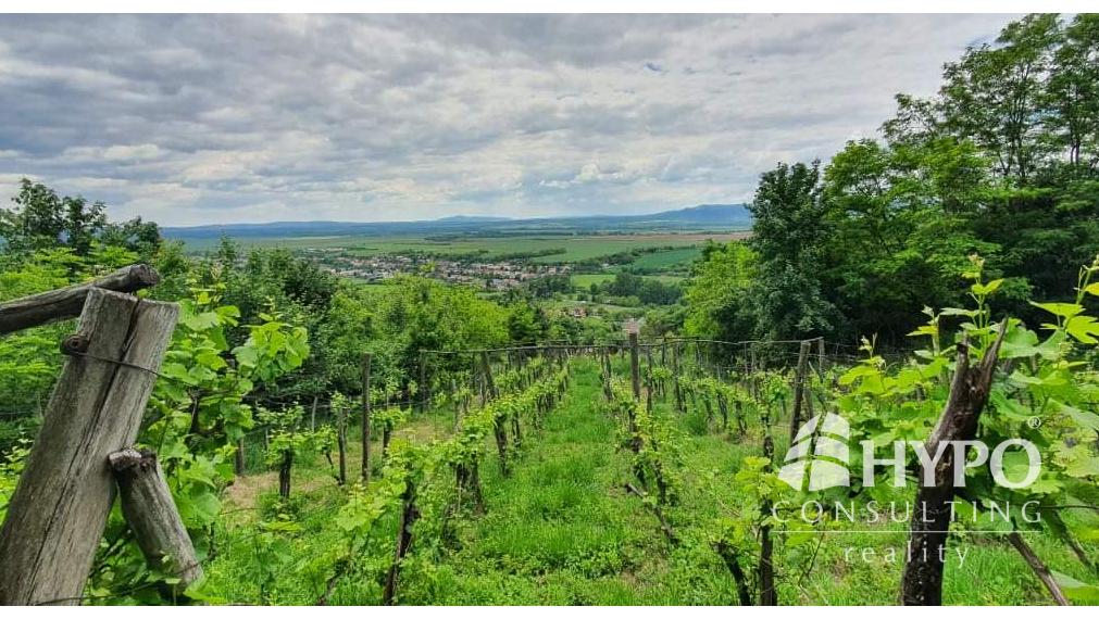 Vínny domček – oáza pokoja pod lesom s výhľadom