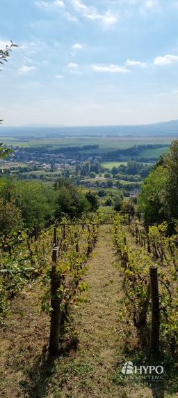 Vínny domček – oáza pokoja pod lesom s výhľadom