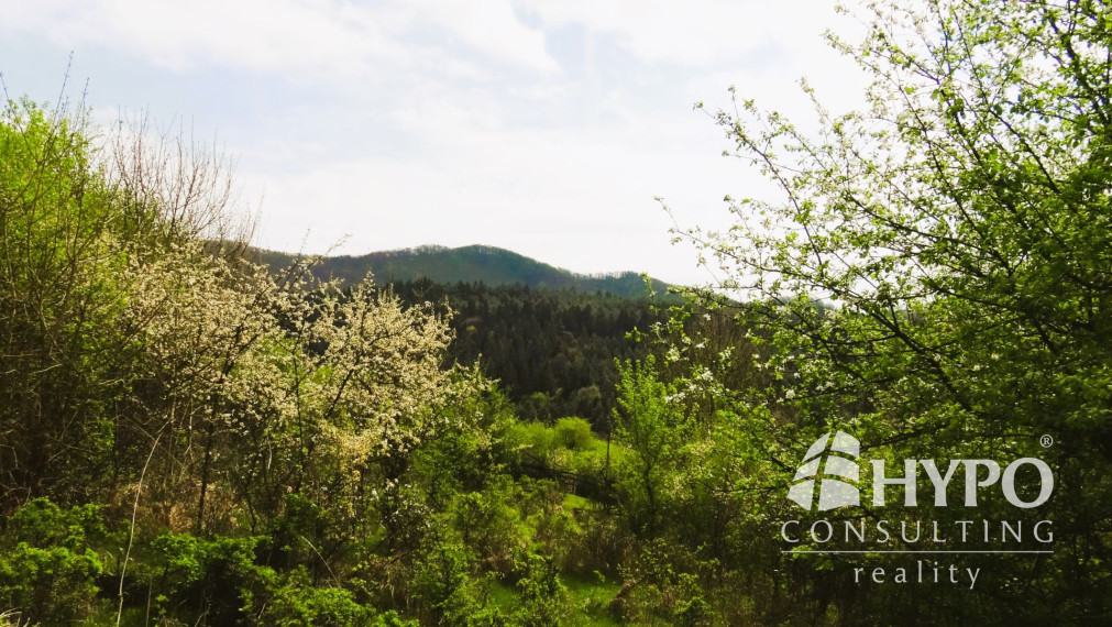 Rekreačný pozemok Prečín okres Považská Bystrica