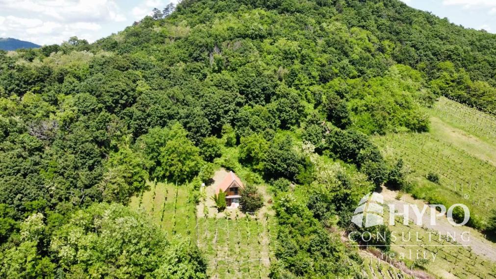 Vínny domček – oáza pokoja pod lesom s výhľadom