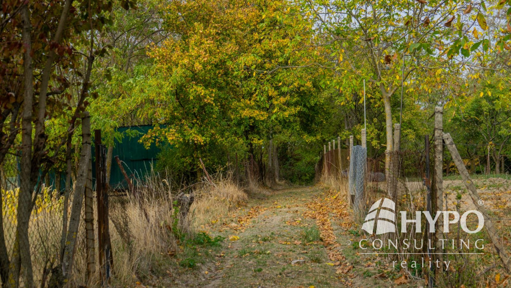 Kaskádovitý off-grid raj (19,3 a) s cestou, Stupava