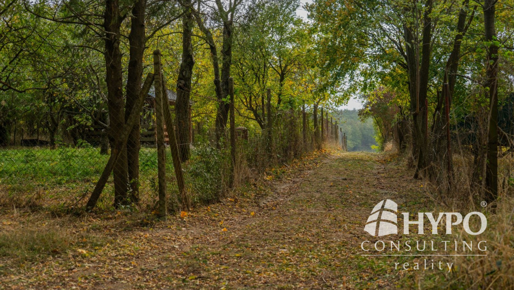 Kaskádovitý off-grid raj (19,3 a) s cestou, Stupava
