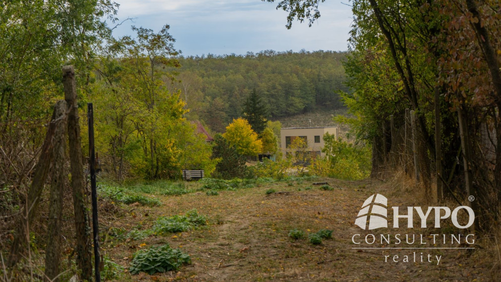 Kaskádovitý off-grid raj (19,3 a) s cestou, Stupava