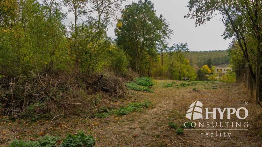Kaskádovitý off-grid raj (19,3 a) s cestou, Stupava