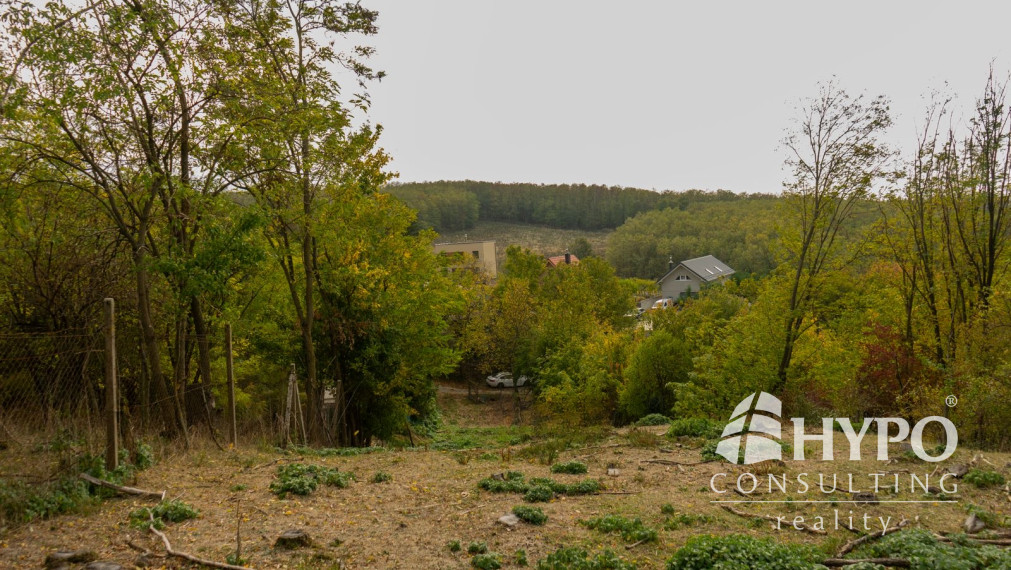 Kaskádovitý off-grid raj (19,3 a) s cestou, Stupava