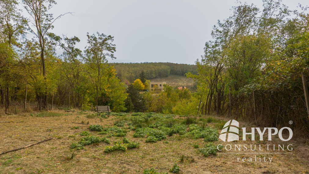 Kaskádovitý off-grid raj (19,3 a) s cestou, Stupava