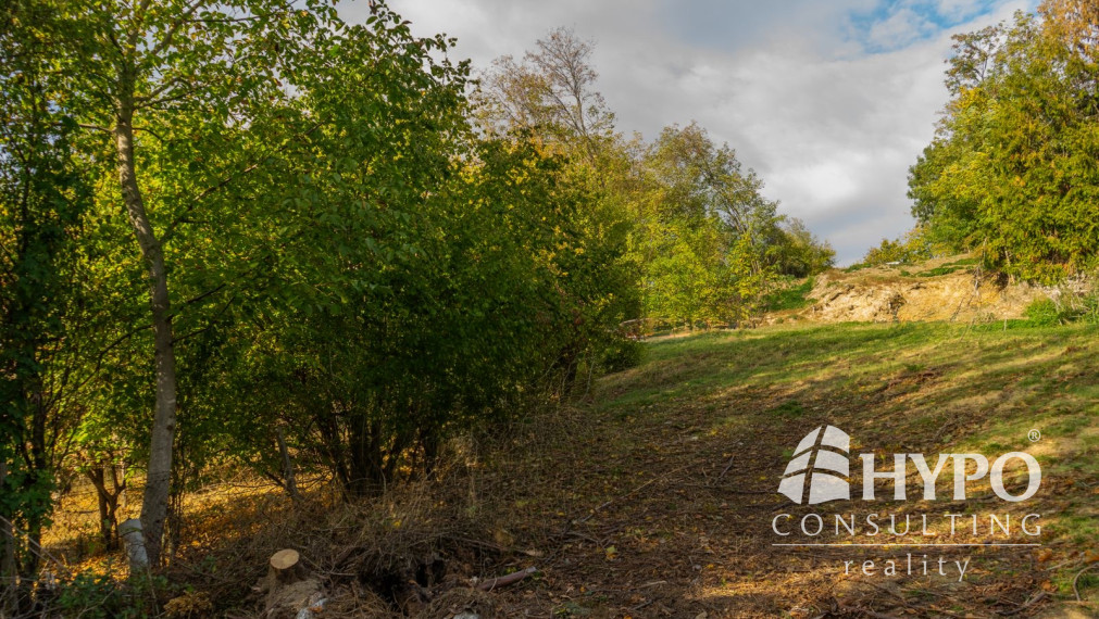 Kaskádovitý off-grid raj (19,3 a) s cestou, Stupava