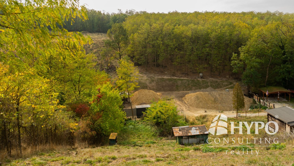 Slnečný svahovitý pozemok (960 m²), Stupava