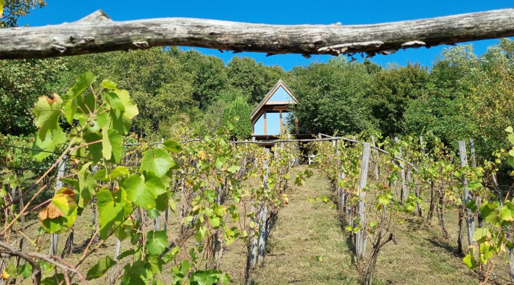 Vínny domček – oáza pokoja pod lesom s výhľadom