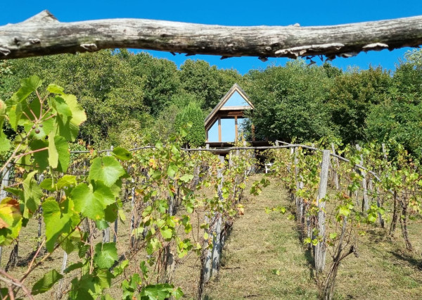 Vínny domček – oáza pokoja pod lesom s výhľadom